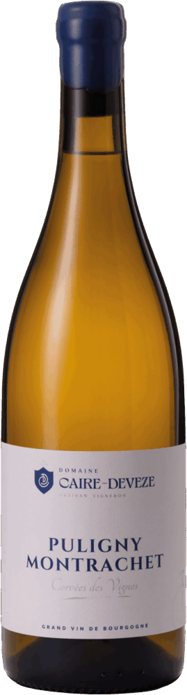Puligny Montrachet Corvée Des Vignes