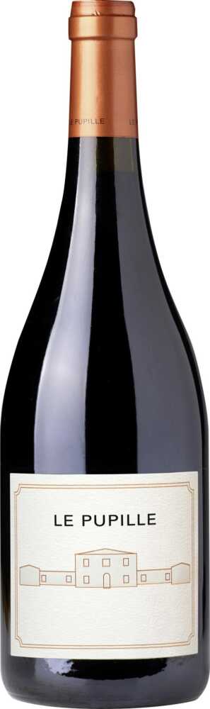 Le Syrah Toscana Igt Toskana