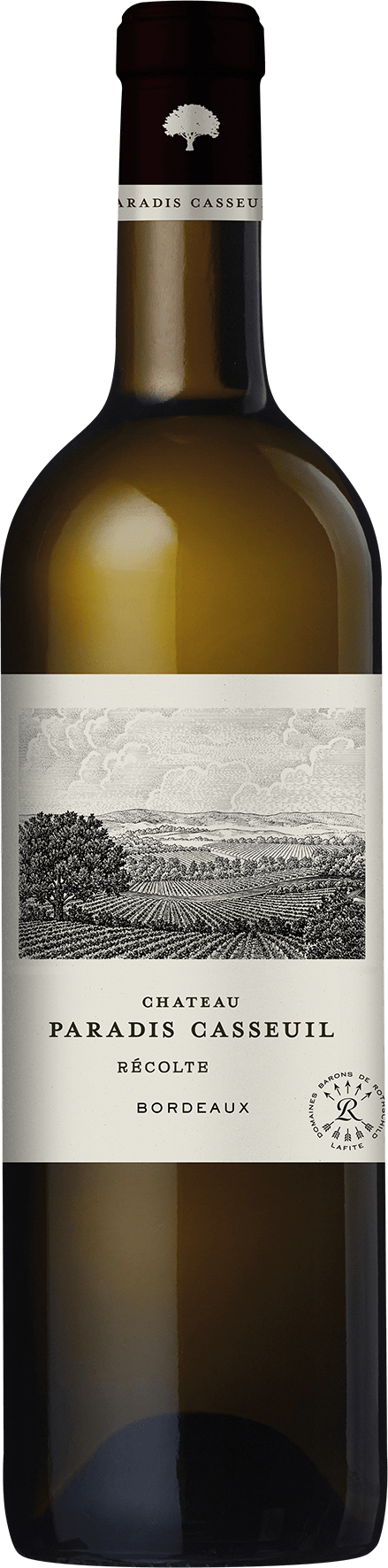 Château Paradis Casseuil Blanc