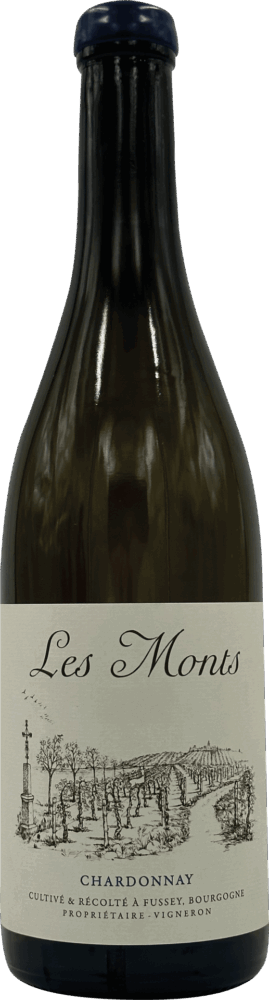 Les Monts Bourgogne Hautes Côtes de Beaune Blanc 2023  0.75 L Flasche