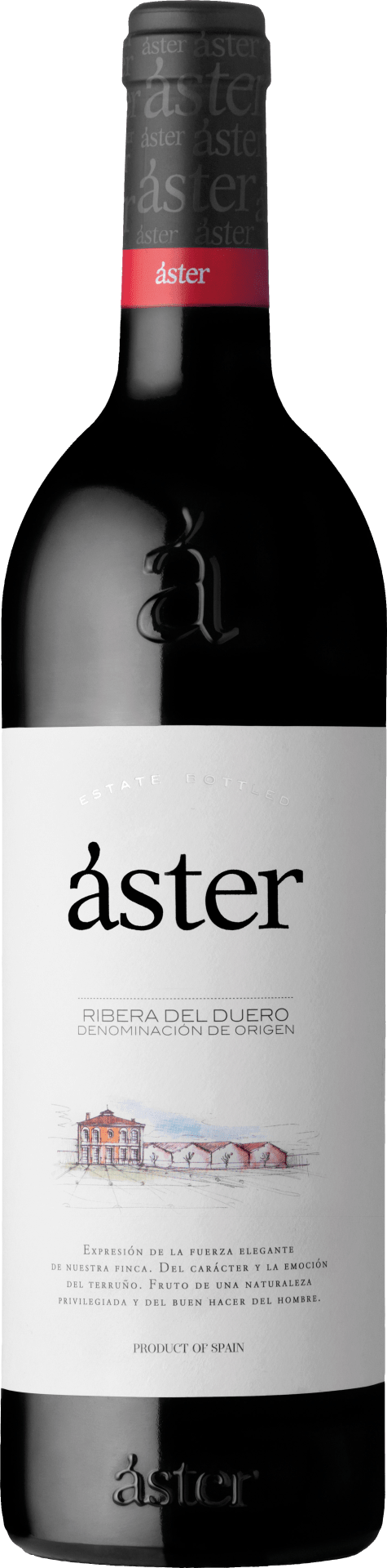 Aster Crianza