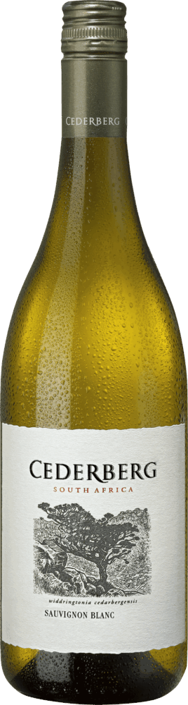Cederberg Sauvignon Blanc 2025  0.75 L Flasche