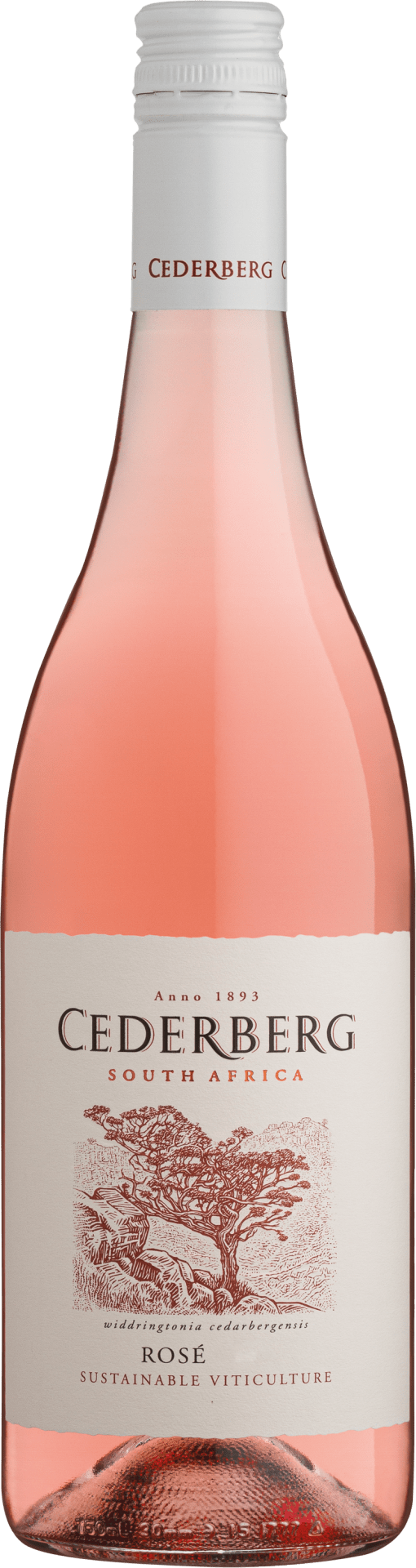 Cederberg Sustainable Rosé 2025  0.75 L Flasche