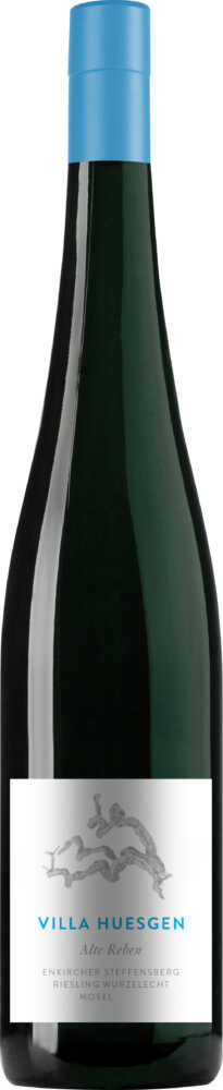 Weingut Villa Huesgen Alte Reben Wurzelecht Riesling Trocken 2022  0.75 L Flasche
