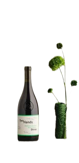 Two Hands CharlieS Garden Shiraz 2019  0.75 L Flasche