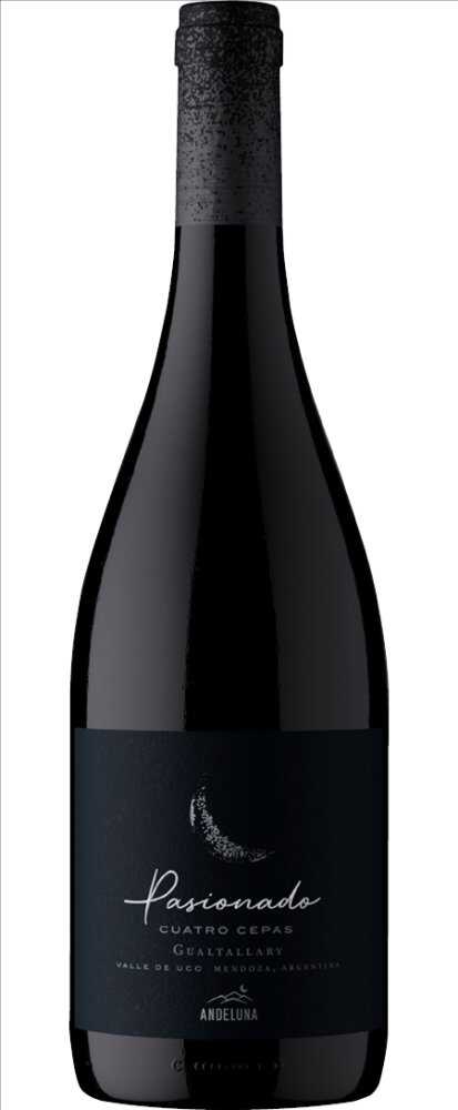  Pasionado  Cuatro Cepas 2021  0.75 L Flasche
