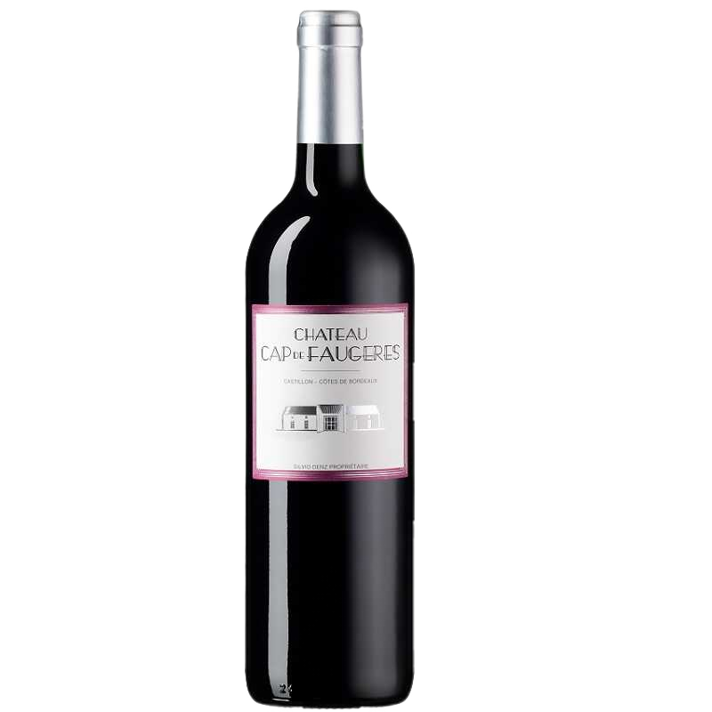 Chateau Cap de Faugeres Cap De Faugeres 2019  0.75 L Flasche