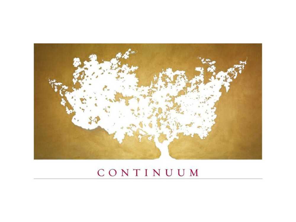 Weingut Continuum Logo