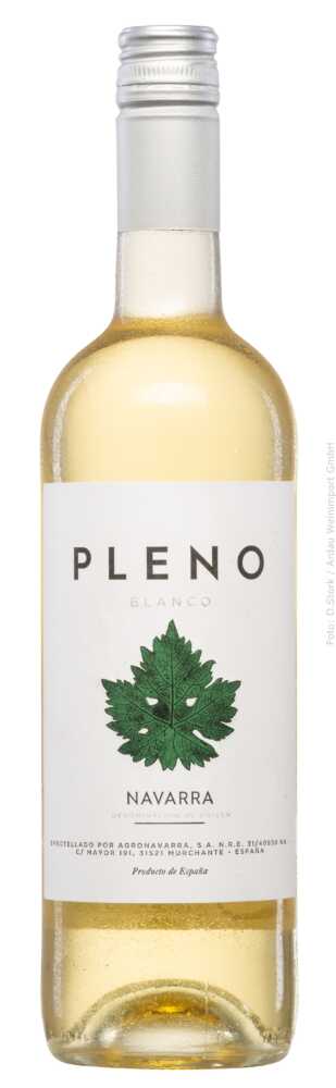Pleno Blanco