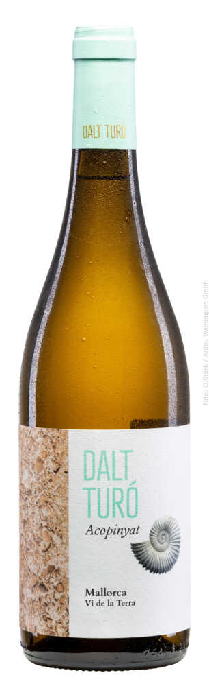 Dalt Turó Turo Acopinyat Blanc 2024  0.75 L Flasche