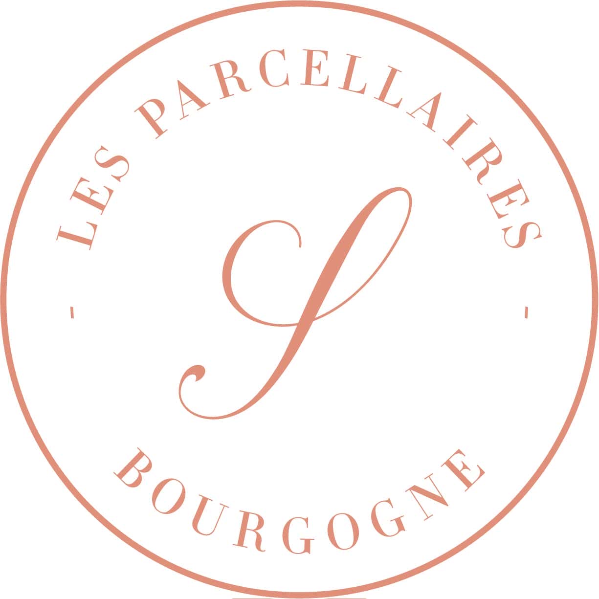 Weingut Les Parcellaires de Saulx Logo