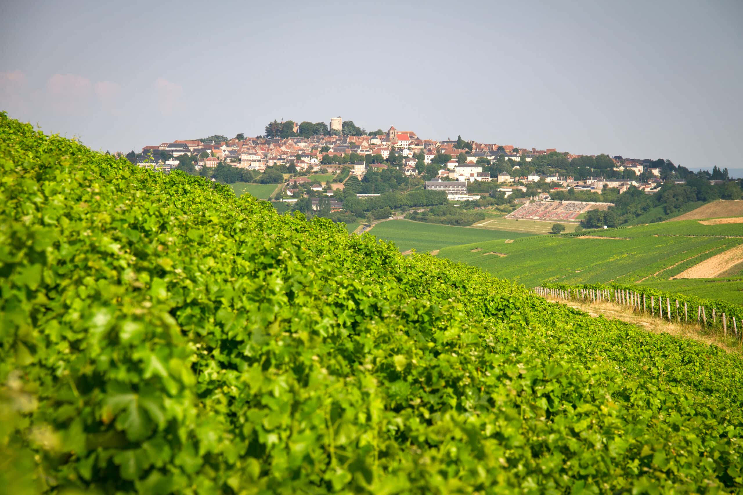 Weingut Domaine Bailly-Reverdy