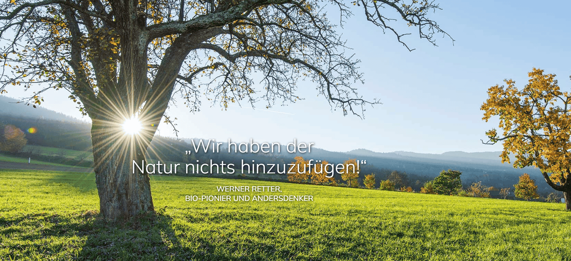 Weingut Obsthof Retter