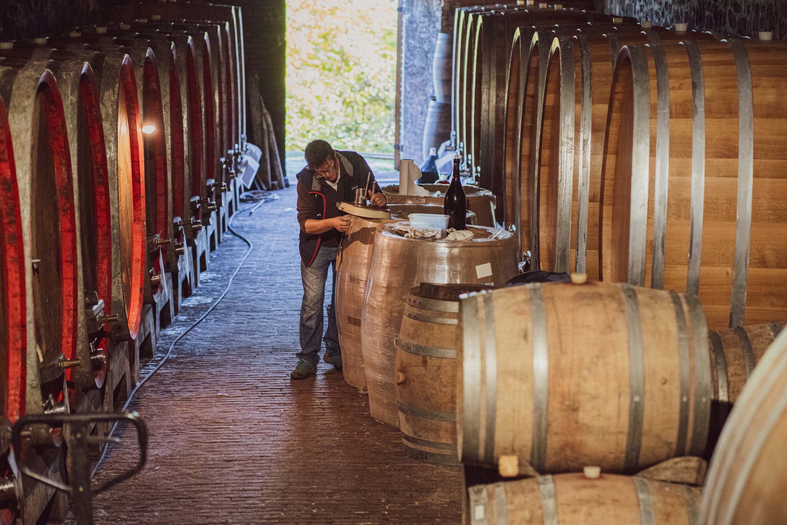 Weingut Proprietà Sperino