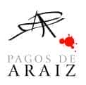 Weingut Pagos De Araiz Logo