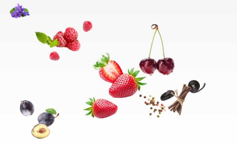 Weinländer &Amp; Regionen – Das Wein-Abc Weinländer &Amp; Regionen – Das Wein-Abc