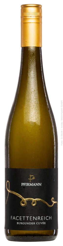 Weingut Pfirmann Facettenreich Cuvée Weiß 2023  0.75 L Flasche