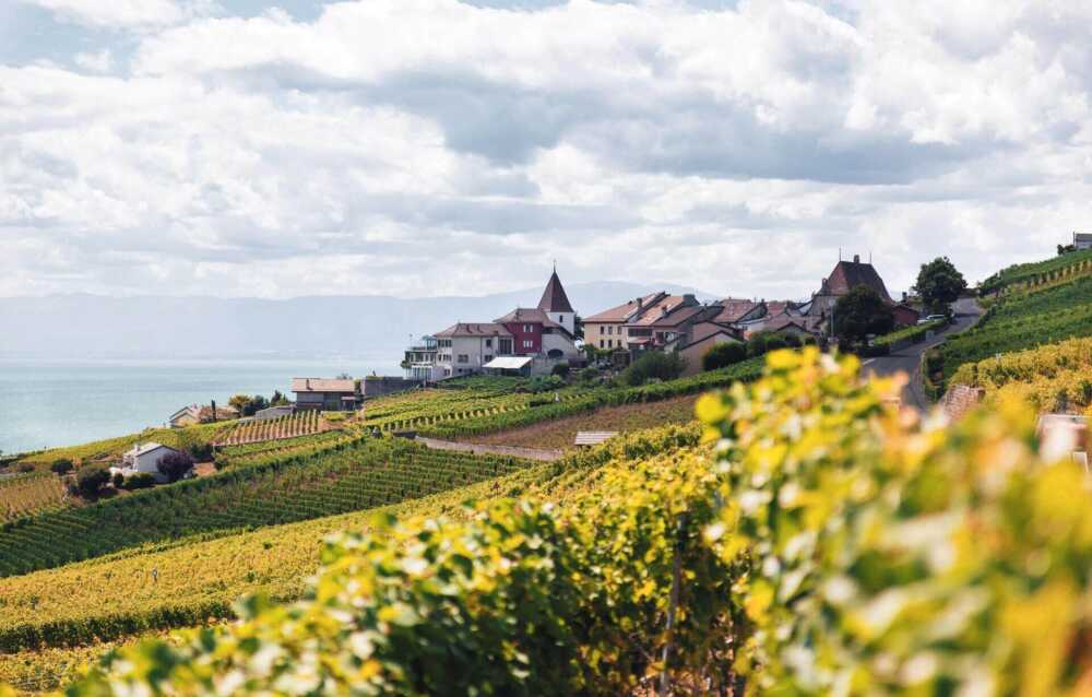 Weingut Cheval des Andes