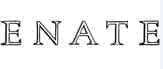 Weingut Enate Logo
