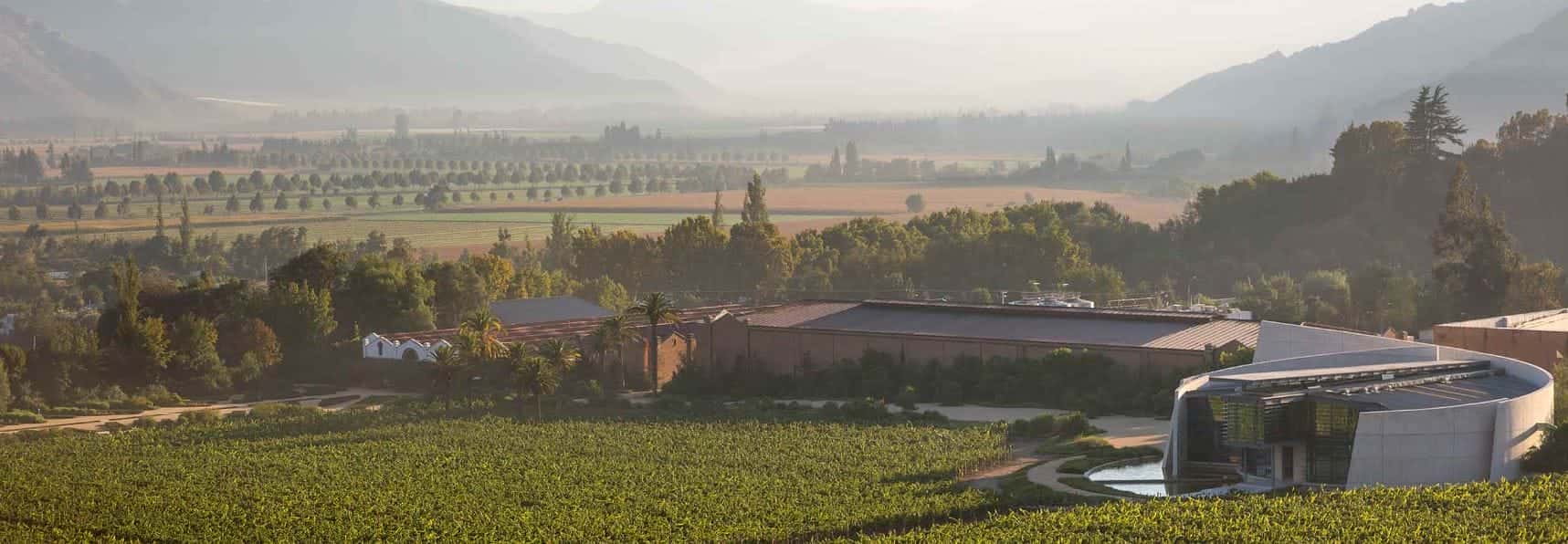 Weingut Vina Errazuriz