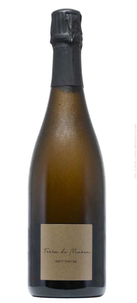 Cava    Brut Nature Vintage