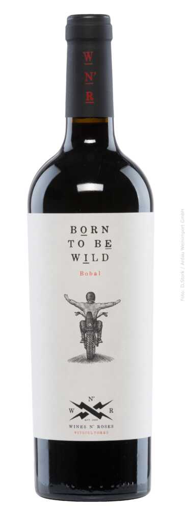Born To Be Wild Tinto