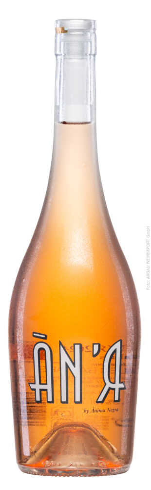 Bodegas