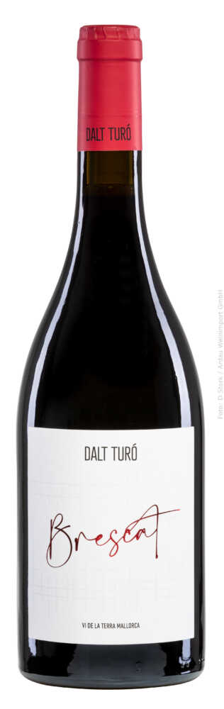 Dalt Turó
