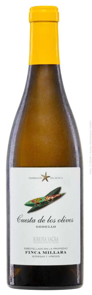 Finca Míllara Cuesta de Los Olivos Godello 2024  0.75 L Flasche