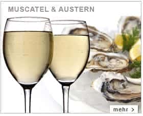 Wein & Speisen Wein &Amp; Speisen
