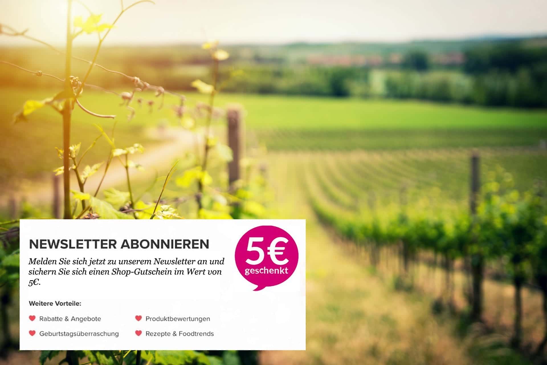 Newsletter Newsletter