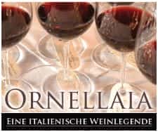 Magazin (Vorlage 3) Magazin (Vorlage 3)