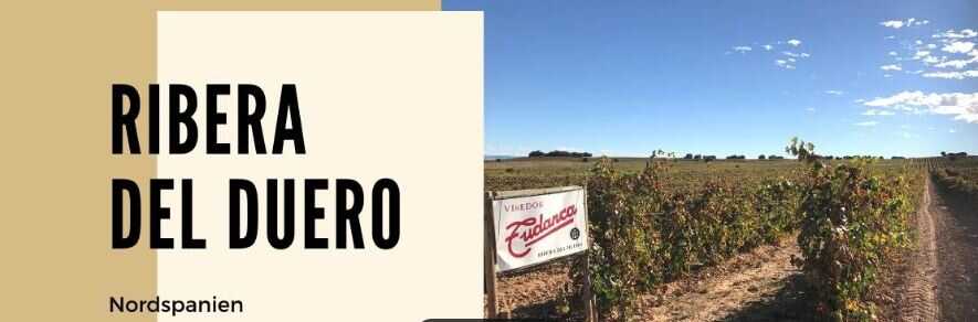 Ribera Del Duero Weine