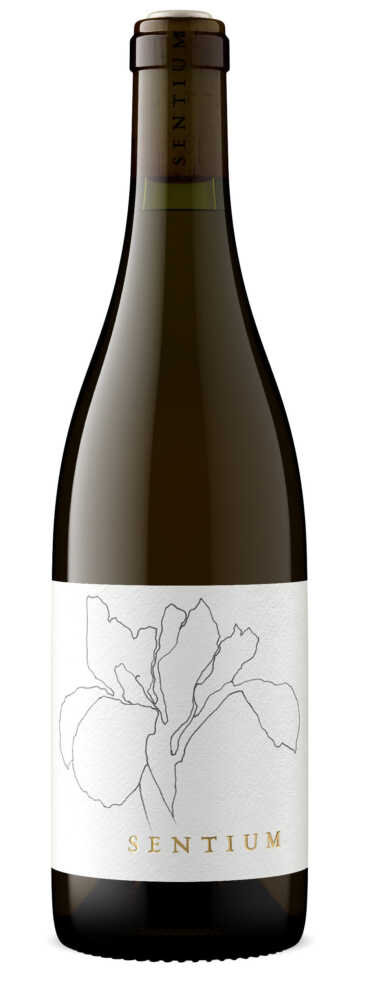 Continuum Sentium Sauvignon Blanc 2023  0.75 L Flasche