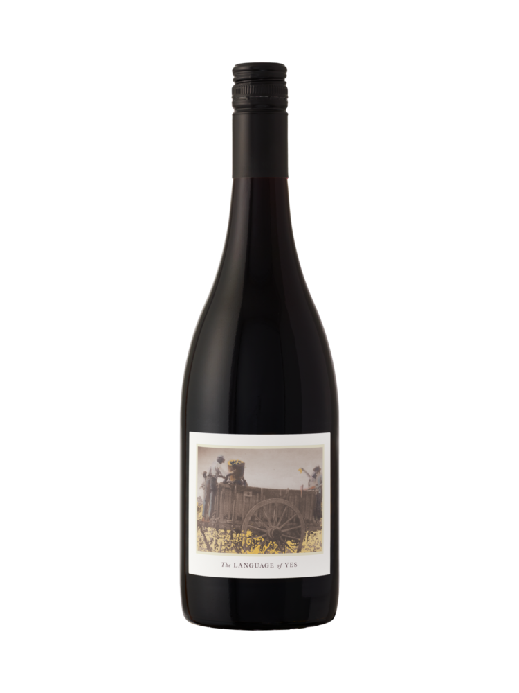 Syrah