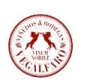 Weingut Bodegas Vegalfaro Logo