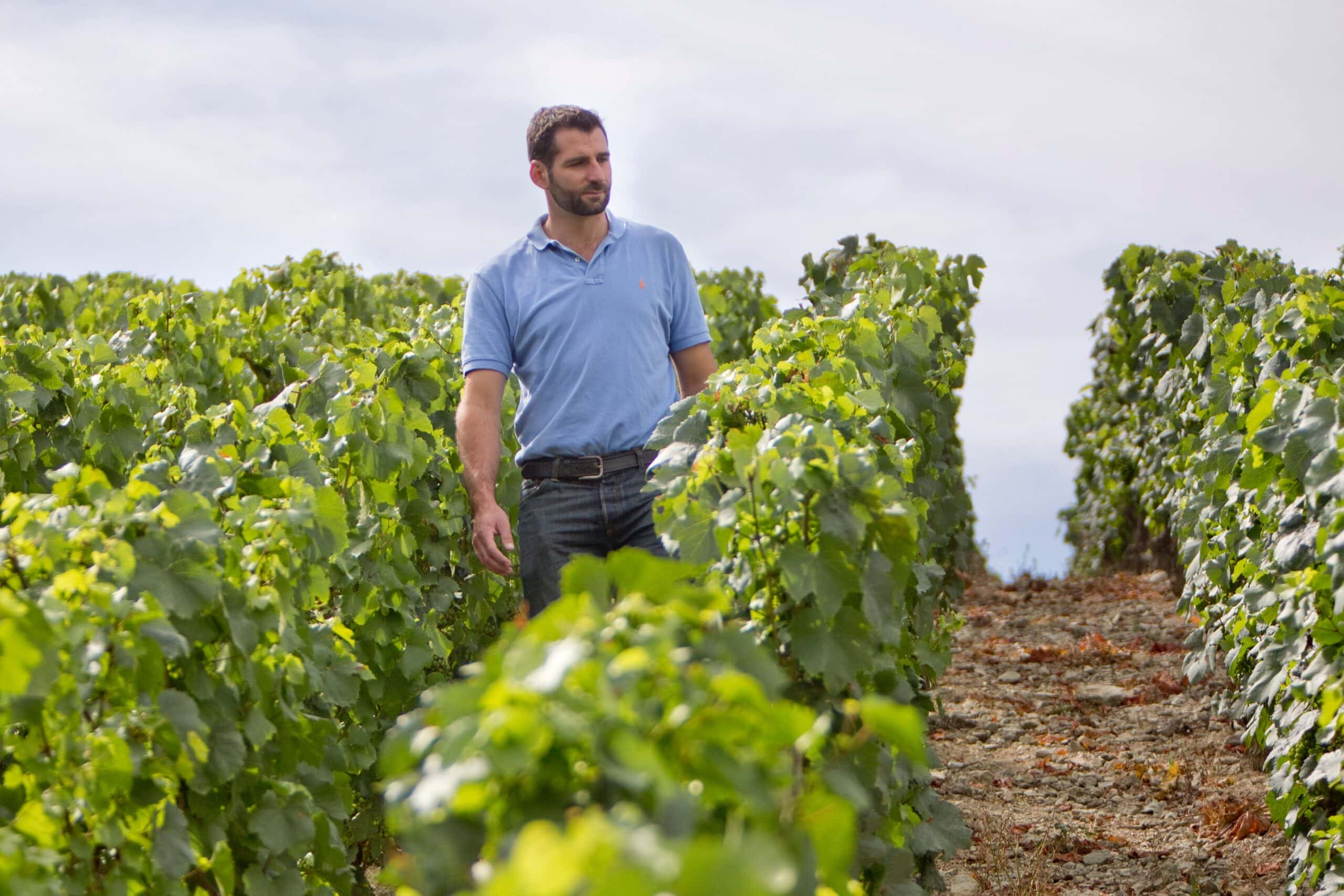 Weingut Domaine Billaud-Simon